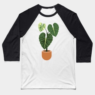 Anthurium regale rare plant Baseball T-Shirt